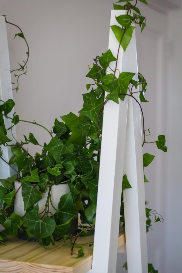 Nordica - 2 Bedroom Self-catering Apartment Kapstadt